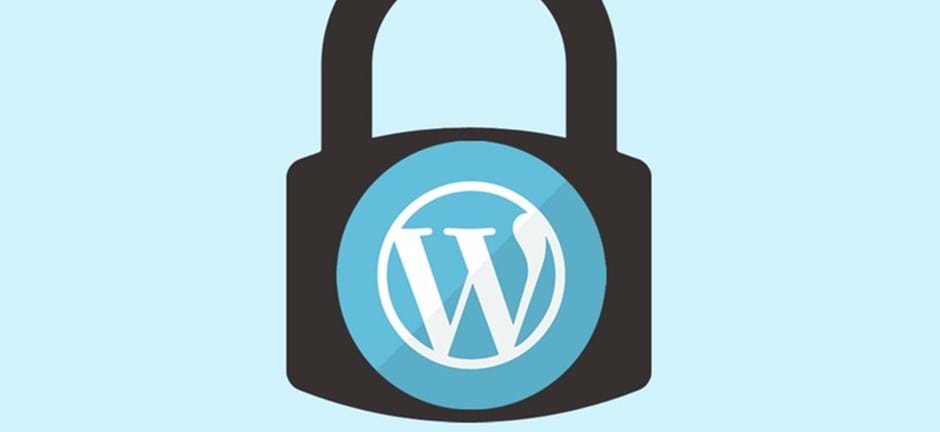 Website Design & WordPress Security
